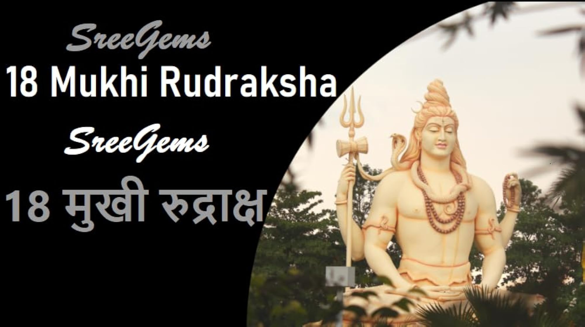 18 Mukhi Rudraksha Original Certified Blessed by Goddess Katyayani Devi